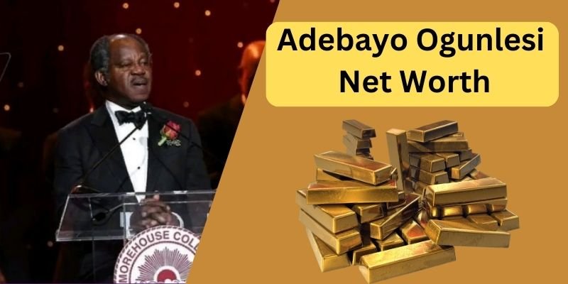 Adebayo Ogunlesi Net Worth